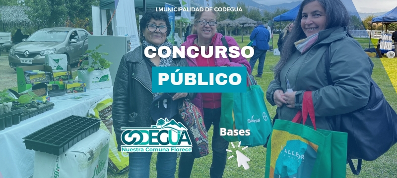 Banner permisos de circulacin